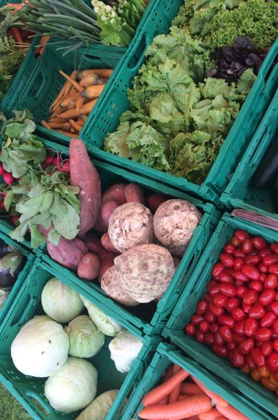 Sommermarkt Krumpendorf (8) Sommermarkt Krumpendorf (8)