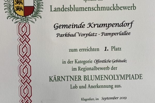 Blumenolympiade 2019 (2) Blumenolympiade 2019 (2)