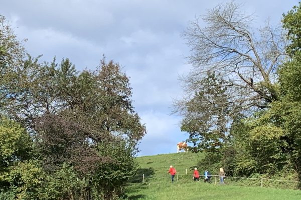 Sternwanderung 2019 (c) Presch (10) - Kopie