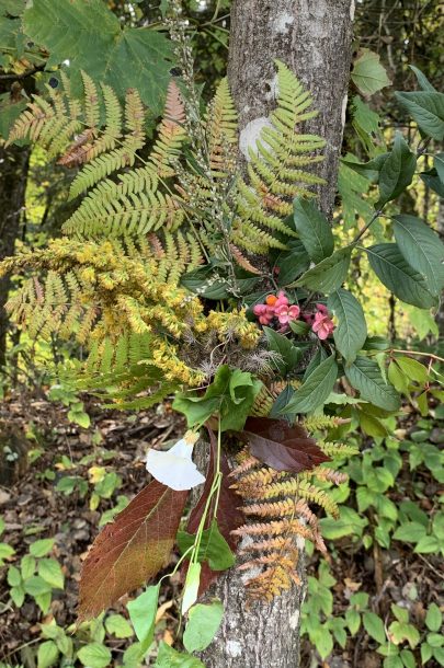 Sternwanderung 2019 (c) Presch (2) Sternwanderung 2019 (c) Presch (2)