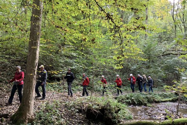 Sternwanderung 2019 (c) Presch (50) Sternwanderung 2019 (c) Presch (50)