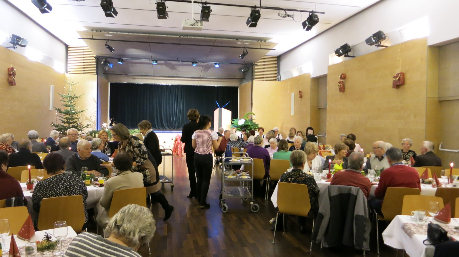 IMG_4236 IMG_4236