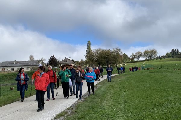 image00005 image00005