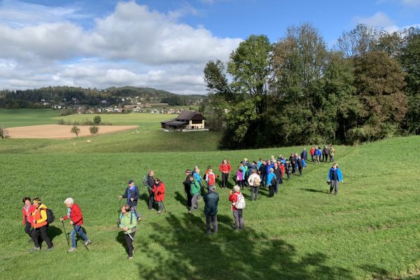 image00006 image00006