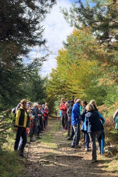 image00007 image00007