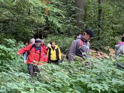 image00012_1 image00012_1