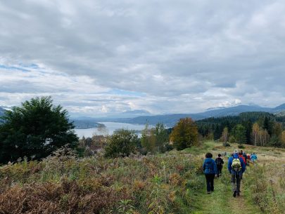 image00016 image00016