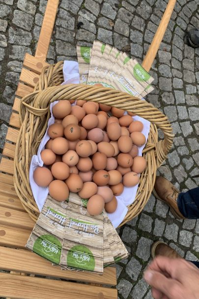 image00017_1 image00017_1