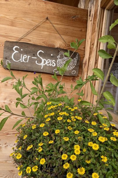 image00032 image00032