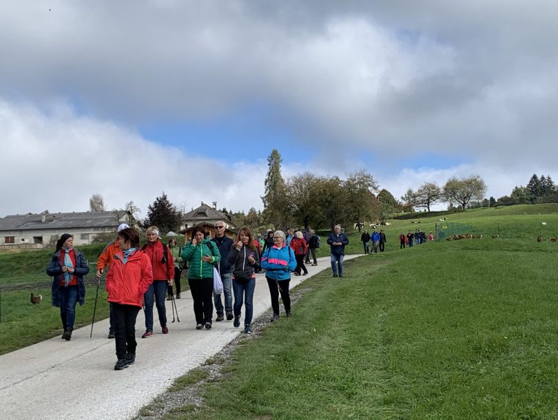 image00033 image00033