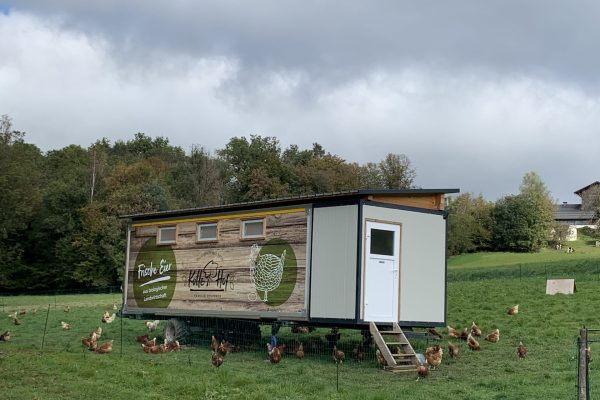 image00034 image00034