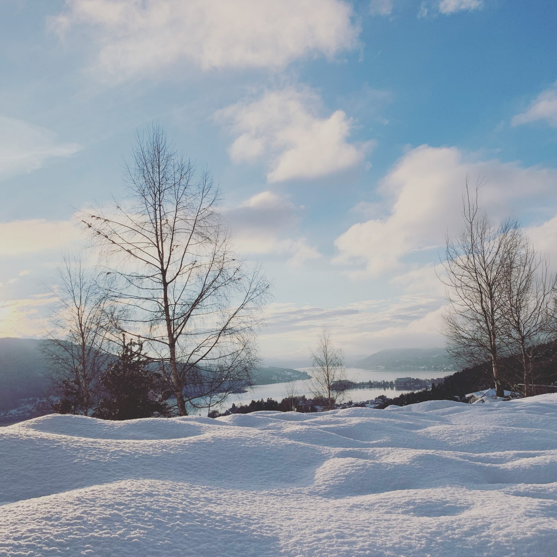 Vom Pirkerkogel Vom Pirkerkogel