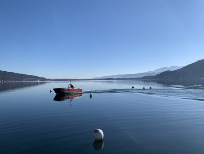 image00013 image00013