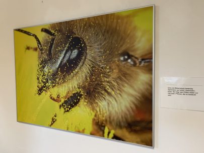 image00004 image00004