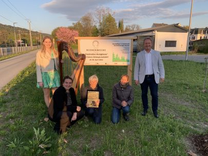 image00006 image00006