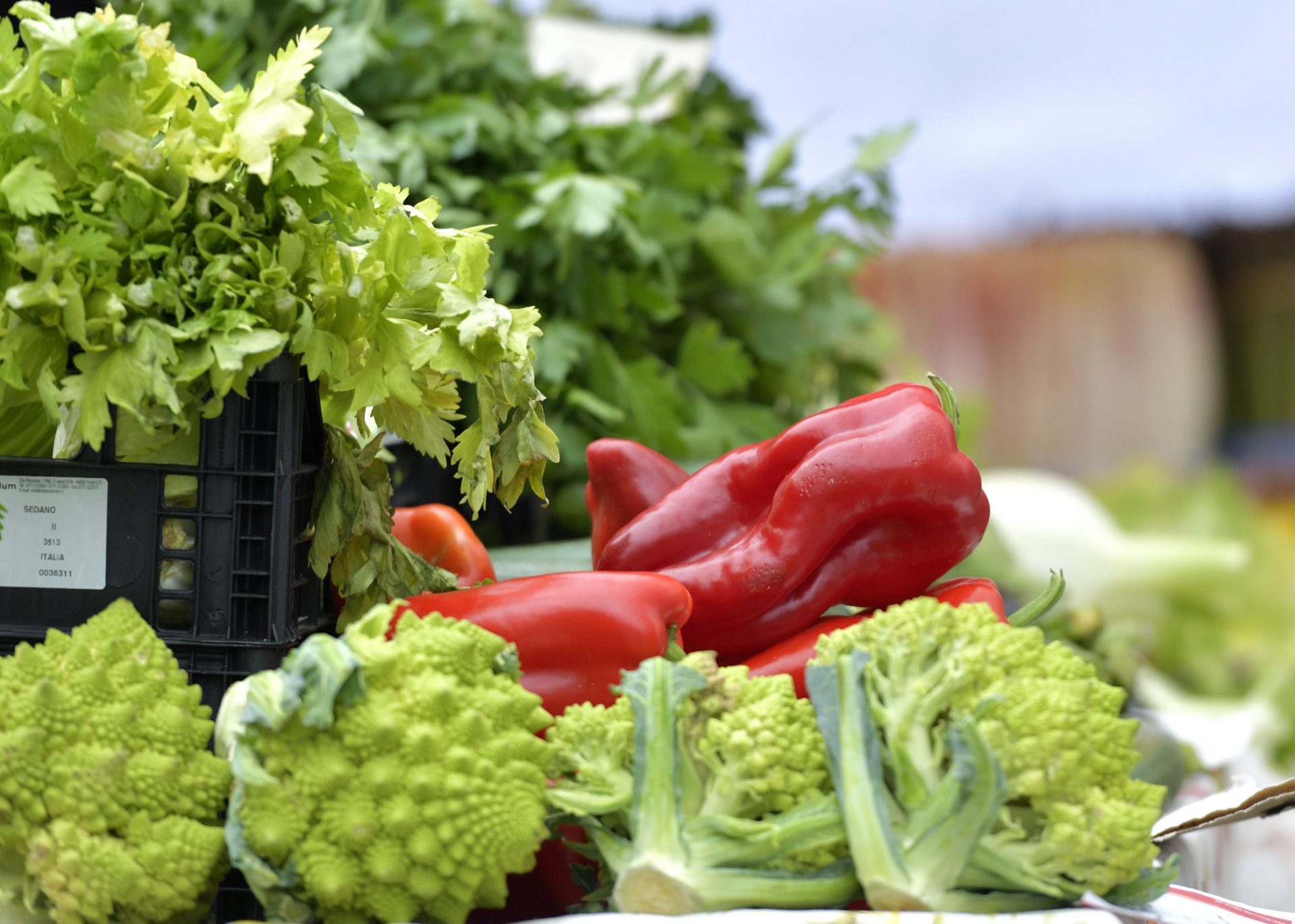 GKS060522_226 GKS060522_226