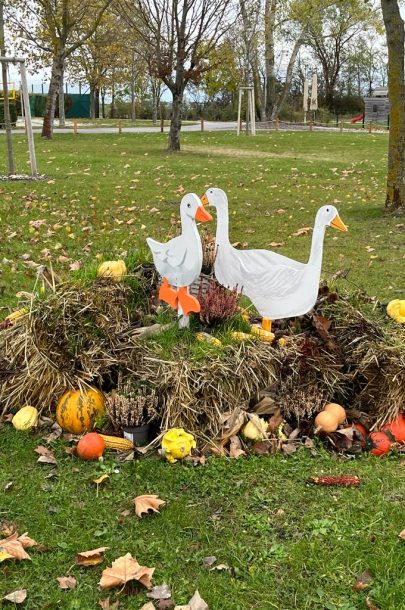 Pamhagen 2023 (2) Pamhagen 2023 (2)