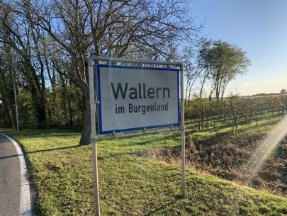 Pamhagen 2023 (22) Pamhagen 2023 (22)