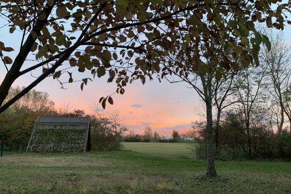 image00003 image00003