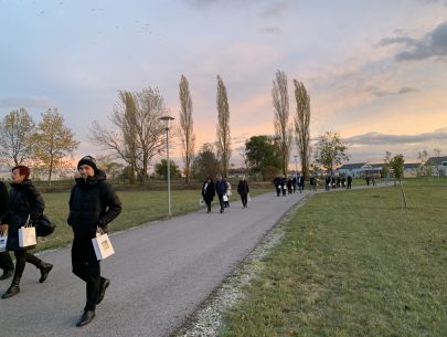 image00006 image00006