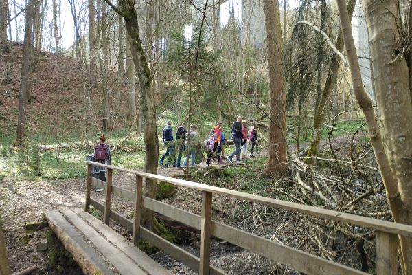 image00002 image00002