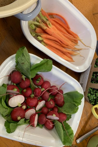 image00011 image00011