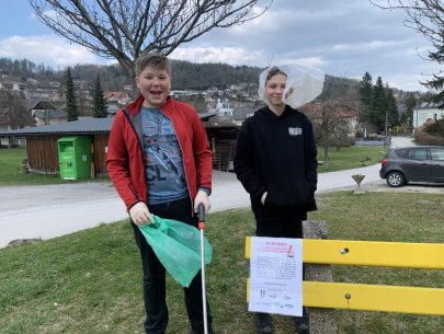 image00019 image00019