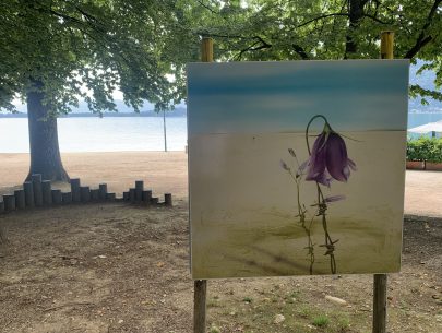 Ausstellung Brandy 2024 (c) Gemeinde Krumpendorf (5) Ausstellung Brandy 2024 (c) Gemeinde Krumpendorf (5)