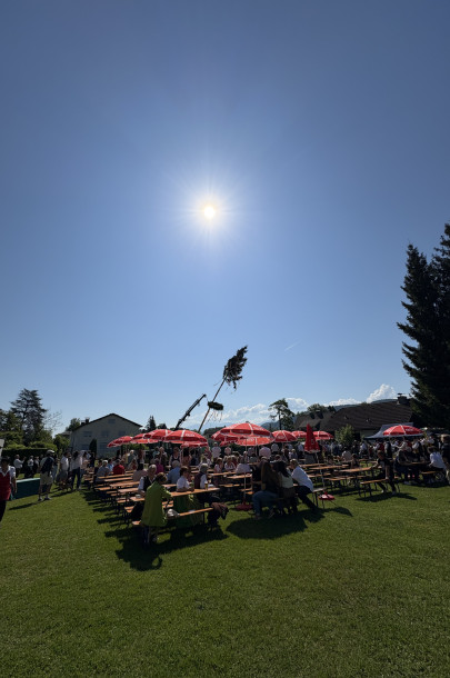 Maifest 202-1 (13) Maifest 202-1 (13)