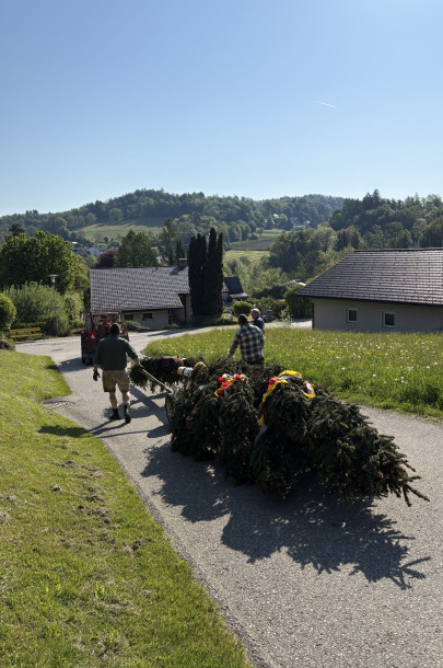 Maifest 2025-2 (7) Maifest 2025-2 (7)