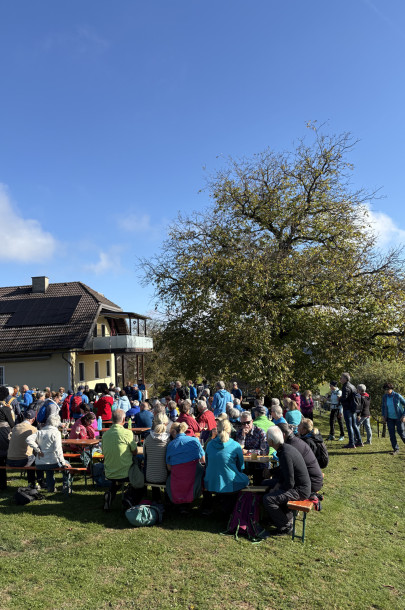 image00031 image00031