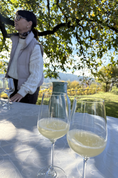 image00035 image00035