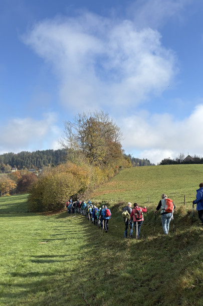 image00040 image00040