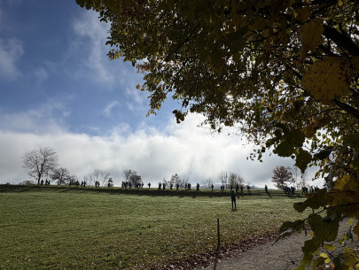 image00044 image00044