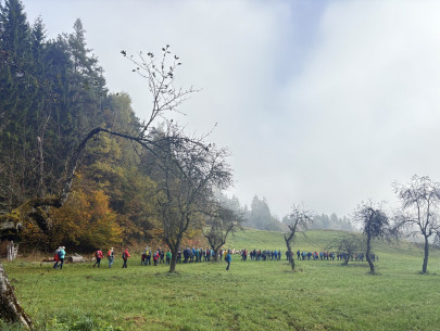 image00048 image00048