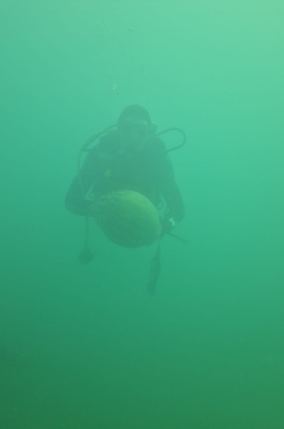 Wassermelonenernte unter Wasser (3)